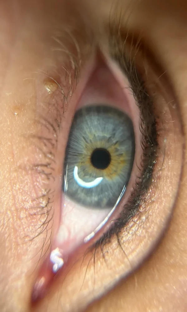 Diseño sin título - 2026-02-03T095746.367