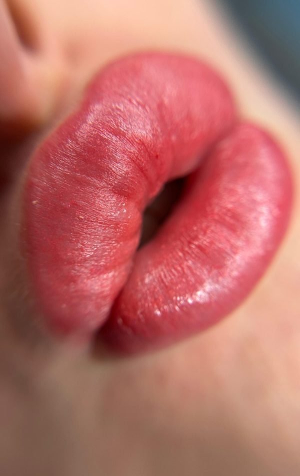 WhatsApp Image 2026-01-29 at 20.15.43 (4)