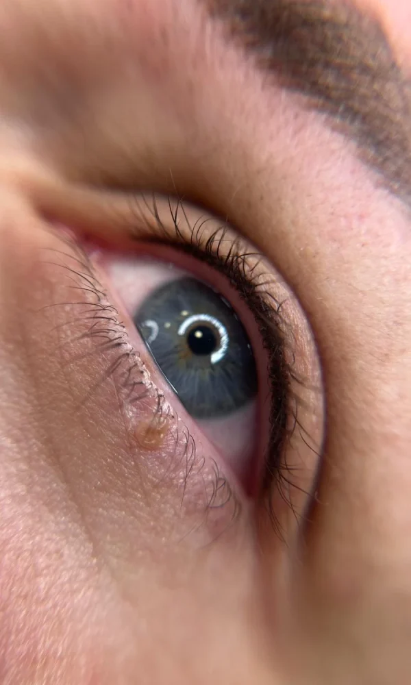 ad7f228b-789a-4db7-a4e0-281db5b18191 (1)